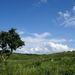 20070908_yamaguchitrip_004